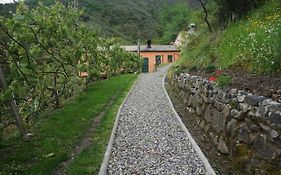 Agriturismo U Muinettu