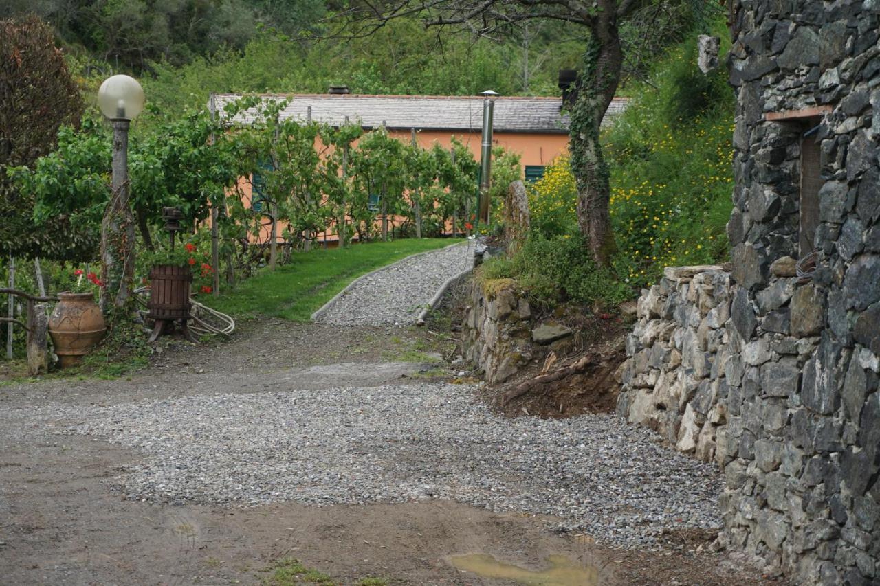 Agriturismo U Muinettu La Spezia Exterior foto