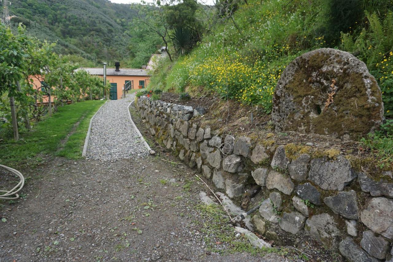 Agriturismo U Muinettu La Spezia Exterior foto